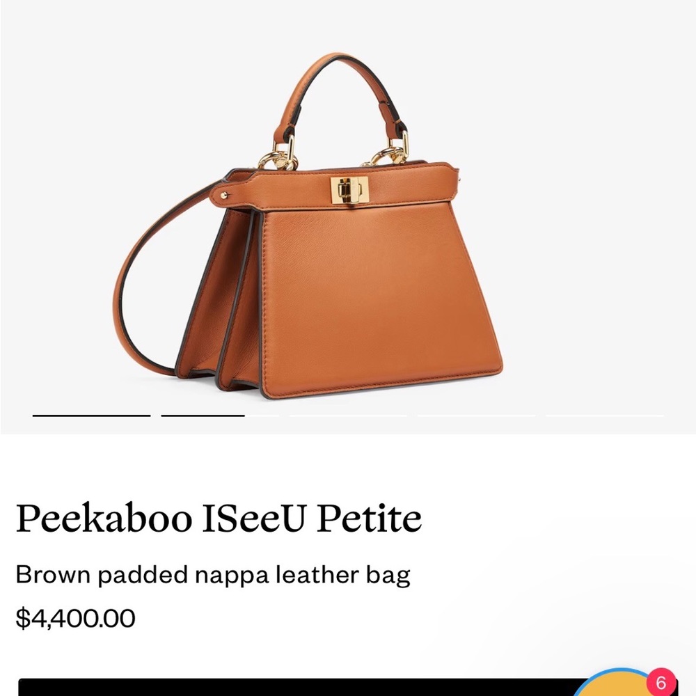 NOT FOR SALE FENDI PeekAboo ISEEU bag